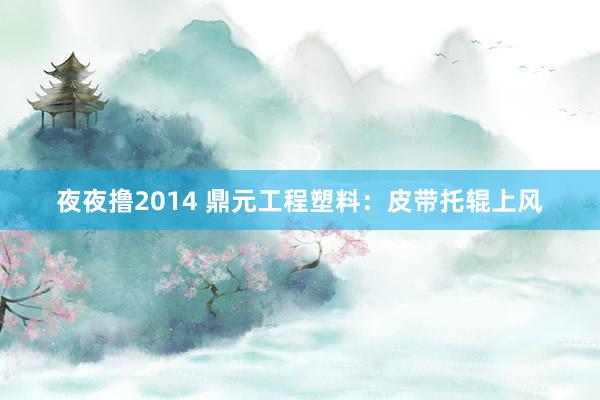 夜夜撸2014 鼎元工程塑料：皮带托辊上风