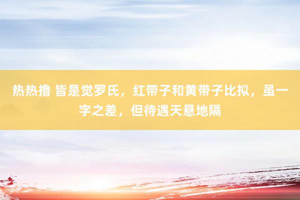 热热撸 皆是觉罗氏，红带子和黄带子比拟，虽一字之差，但待遇天悬地隔