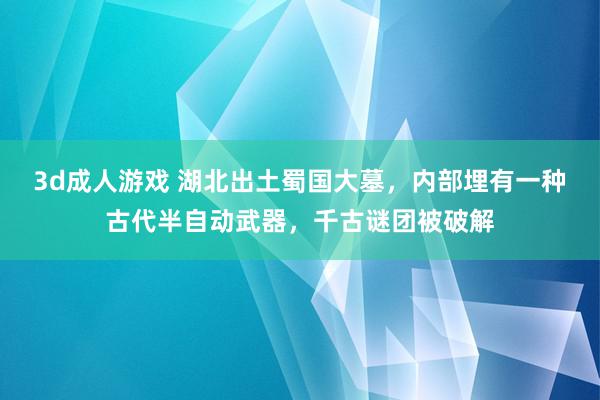 3d成人游戏 湖北出土蜀国大墓，内部埋有一种古代半自动武器，千古谜团被破解