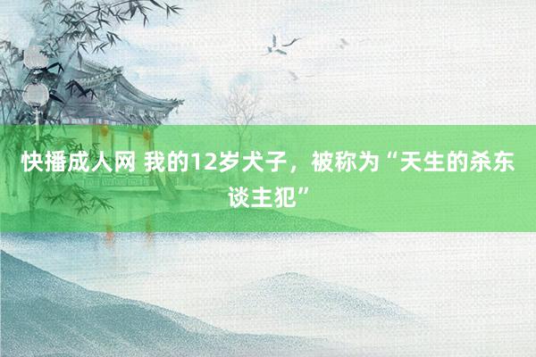 快播成人网 我的12岁犬子，被称为“天生的杀东谈主犯”