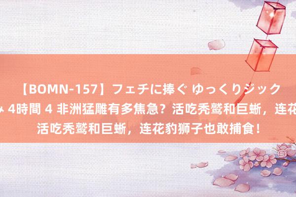 【BOMN-157】フェチに捧ぐ ゆっくりジックリめりこむ乳揉み 4時間 4 非洲猛雕有多焦急？活吃秃鹫和巨蜥，连花豹狮子也敢捕食！