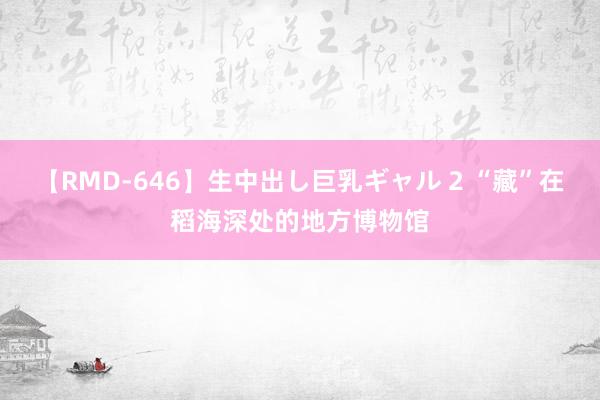 【RMD-646】生中出し巨乳ギャル 2 “藏”在稻海深处的地方博物馆