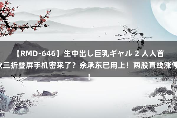 【RMD-646】生中出し巨乳ギャル 2 人人首款三折叠屏手机密来了？余承东已用上！两股直线涨停！