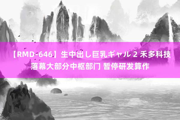 【RMD-646】生中出し巨乳ギャル 2 禾多科技落幕大部分中枢部门 暂停研发算作