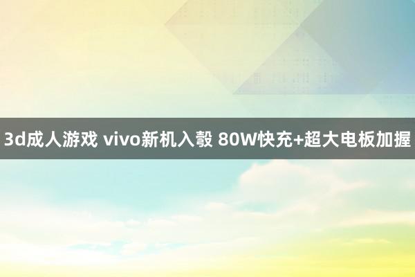 3d成人游戏 vivo新机入彀 80W快充+超大电板加握