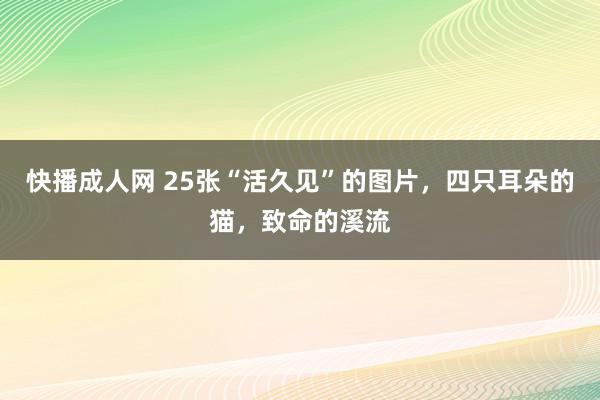 快播成人网 25张“活久见”的图片，四只耳朵的猫，致命的溪流