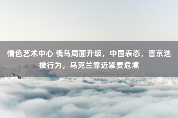 情色艺术中心 俄乌局面升级，中国表态，普京选拔行为，乌克兰靠近紧要危境