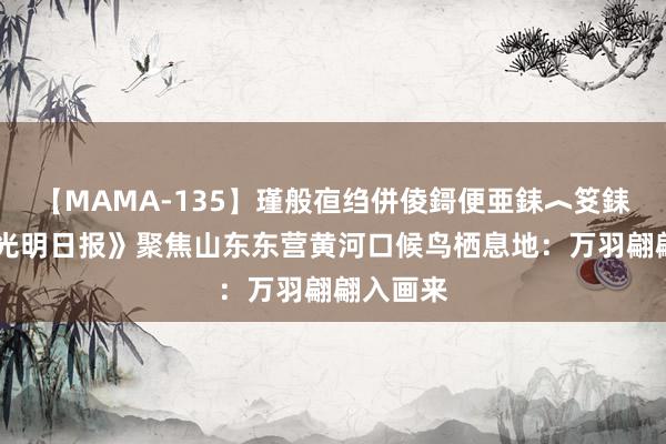 【MAMA-135】瑾般亱绉併倰鎶便亜銇︿笅銇曘亜 《光明日报》聚焦山东东营黄河口候鸟栖息地：万羽翩翩入画来