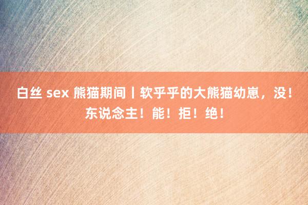 白丝 sex 熊猫期间丨软乎乎的大熊猫幼崽，没！东说念主！能！拒！绝！