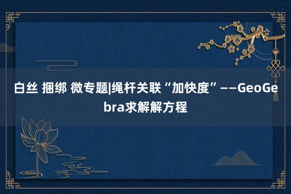 白丝 捆绑 微专题|绳杆关联“加快度”——GeoGebra求解解方程